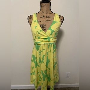American Eagle Outfitters Women's Green and Yellow Dress
